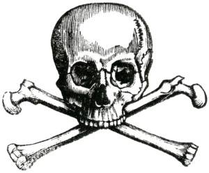 The Art of Skull and Bones